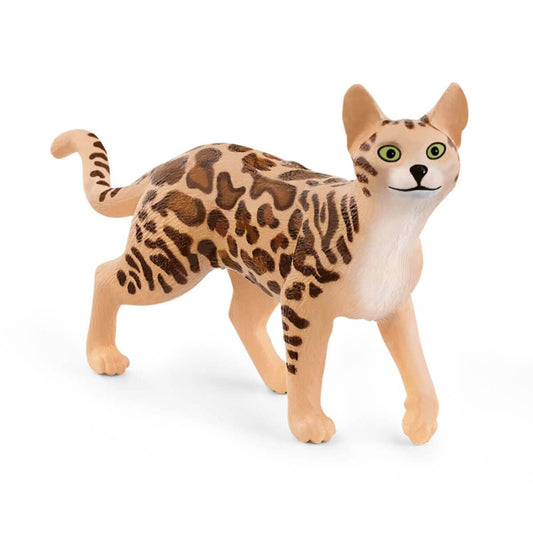 Bengal Cat 13918