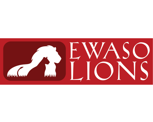 The Excursion Bracelet Lion - Sky Stone