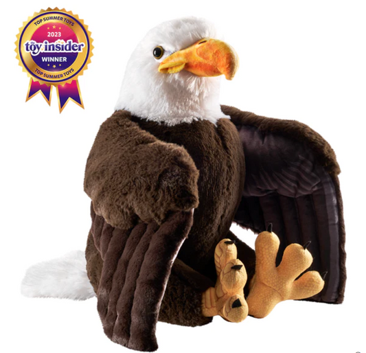 Artist Collection - Bald Eagle
