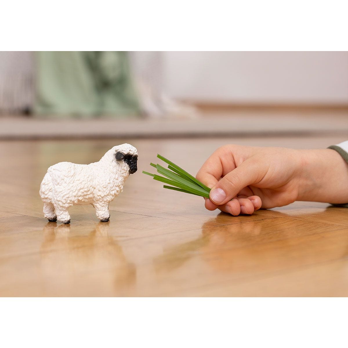 Valais Blacknose Sheep 13965