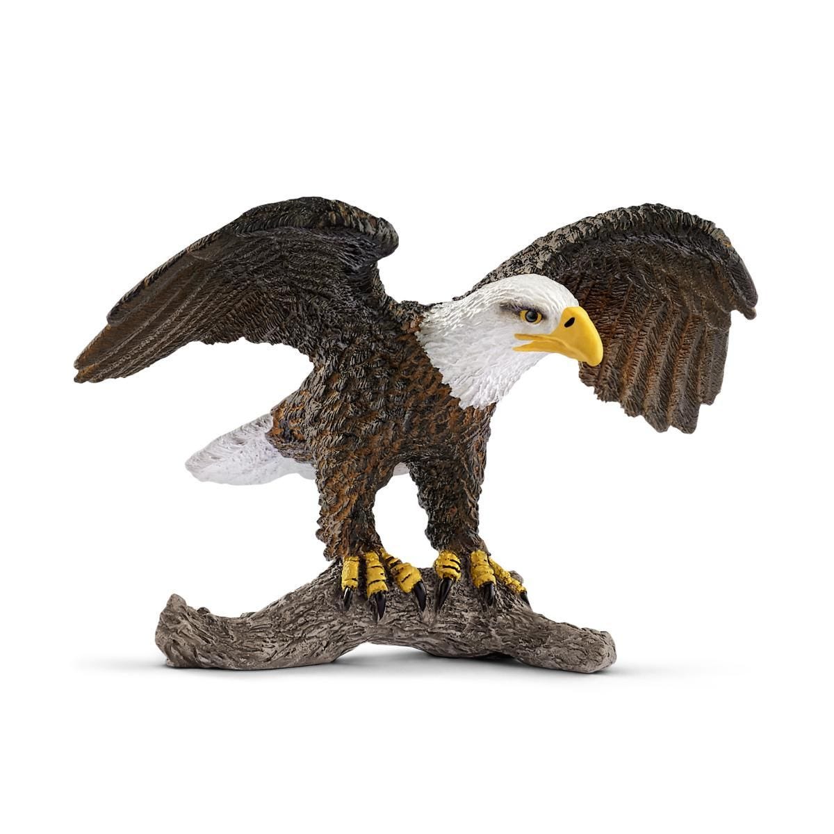 Bald eagle 14780