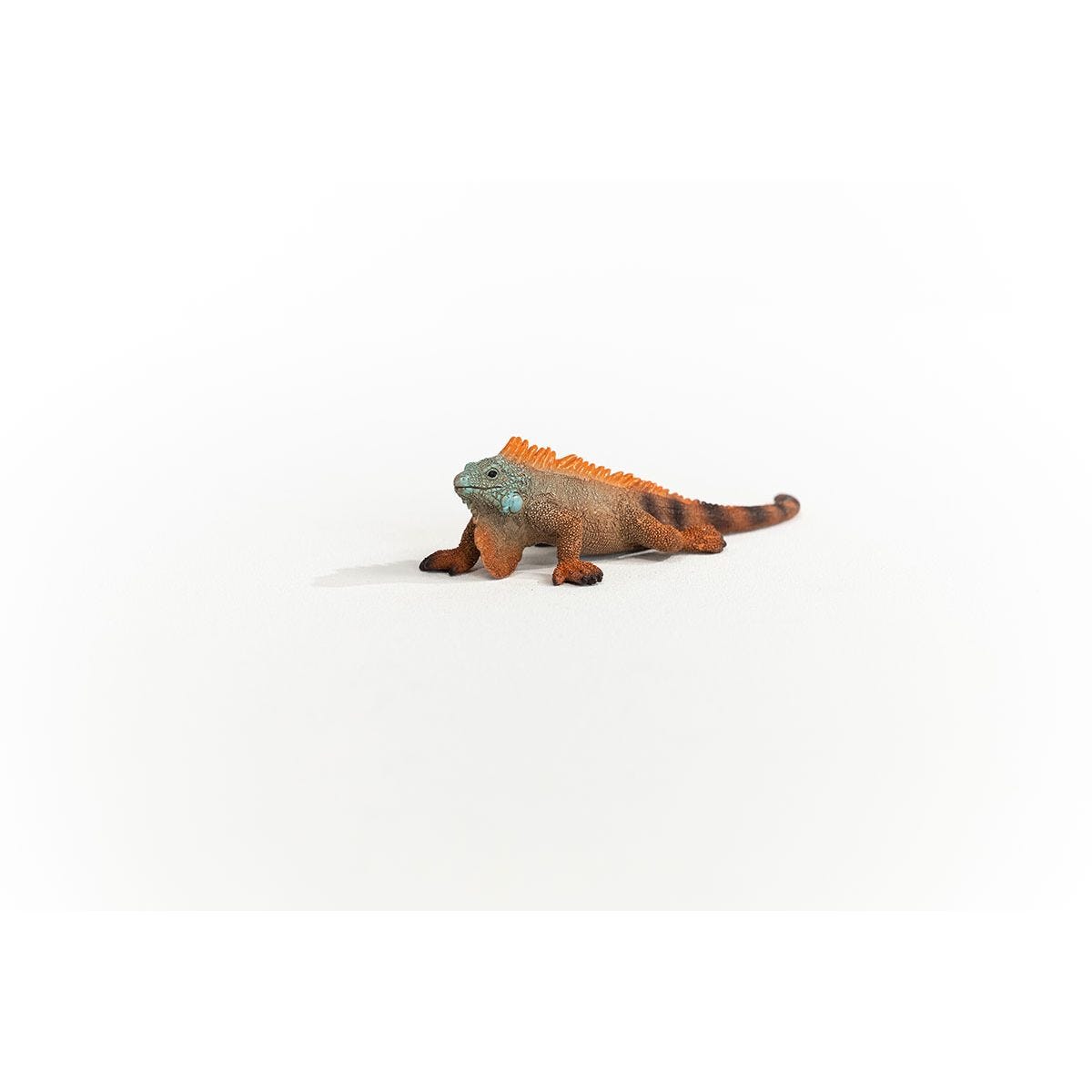 14854 Iguana