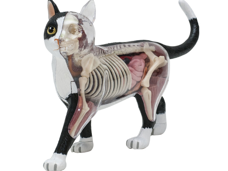 4D Vision Animal Cat (Black & White)