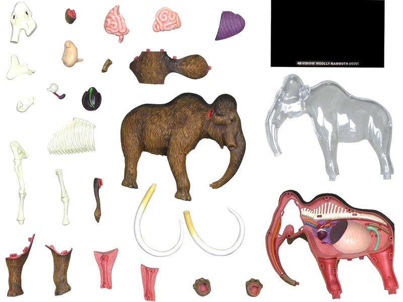 4D Vision Animal Woolly Mammoth