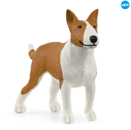 Bull Terrier 13966
