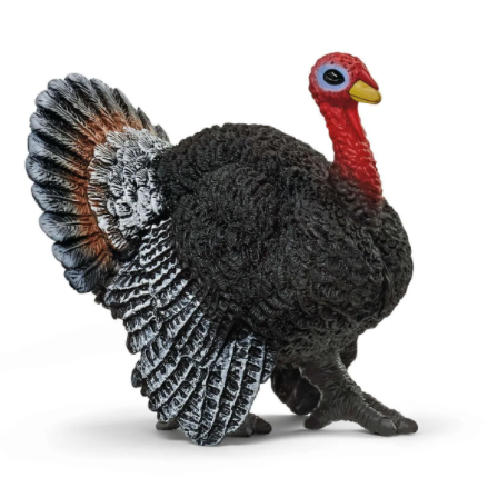 Turkey 13900