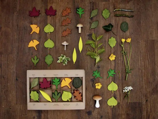 WOODLAND LEAVES