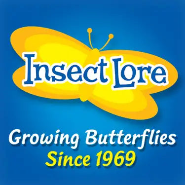 Insect Lore