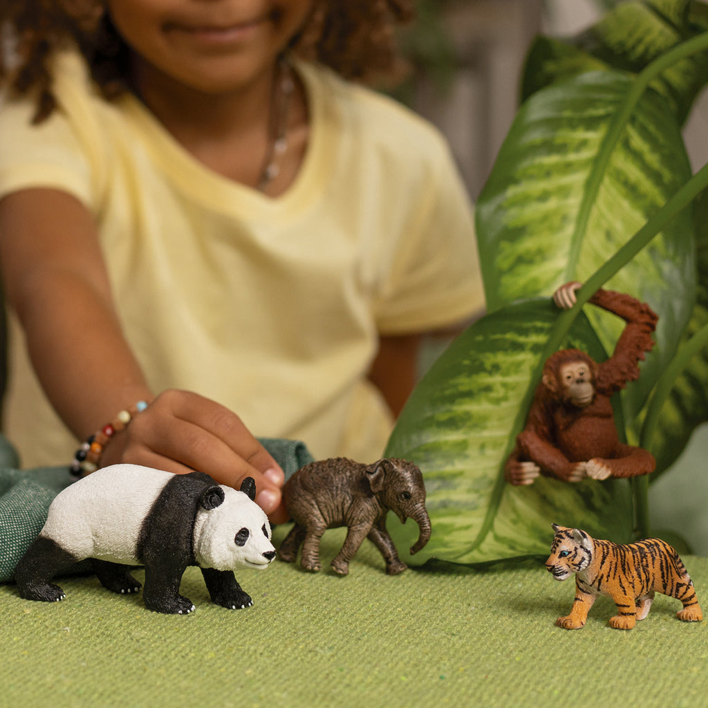 42736 Wild Life Asia Starter Set