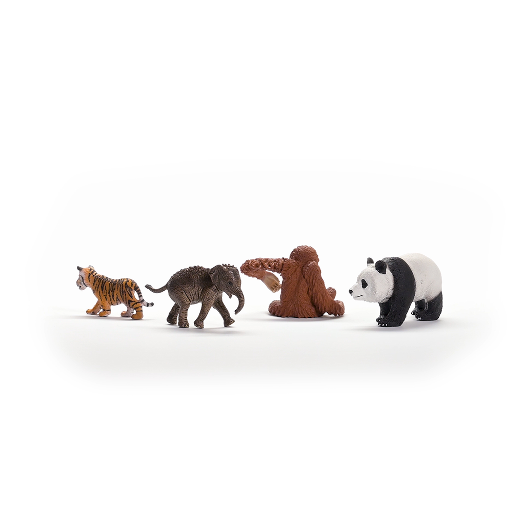 42736 Wild Life Asia Starter Set