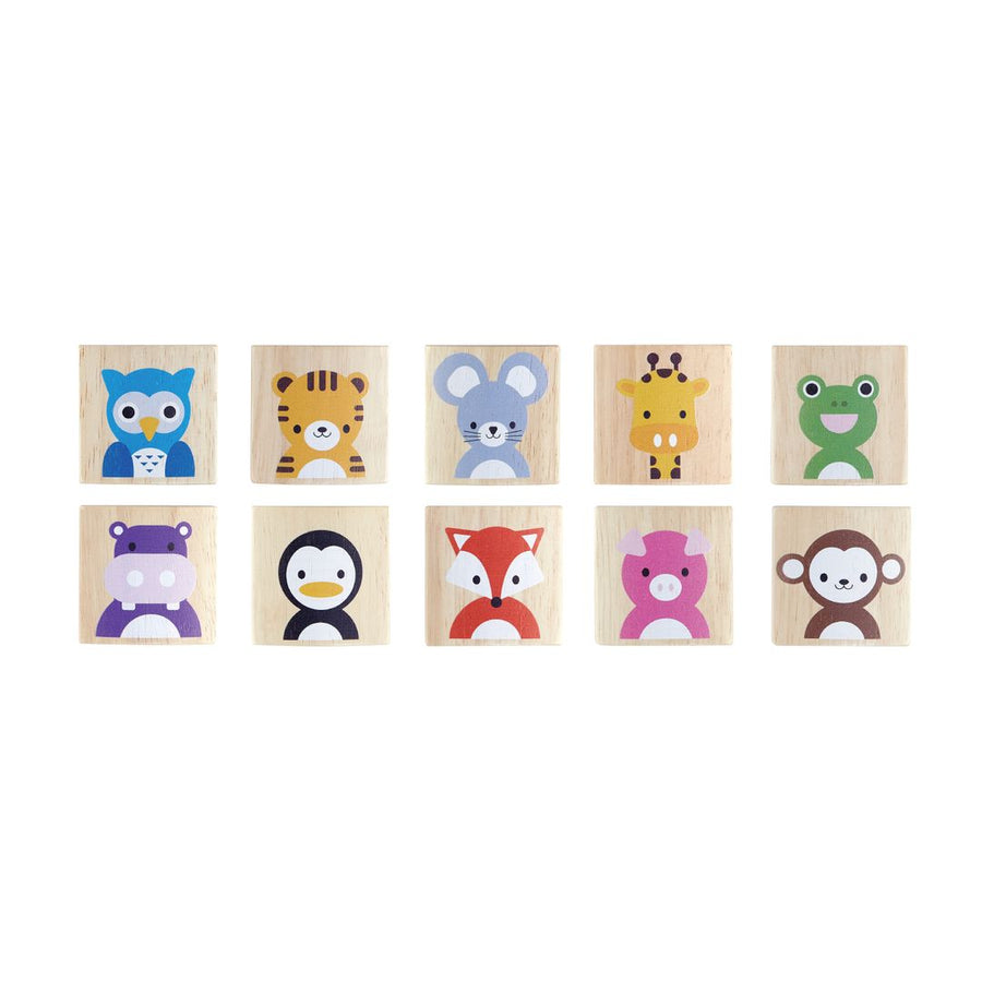 4656 Animals Memo