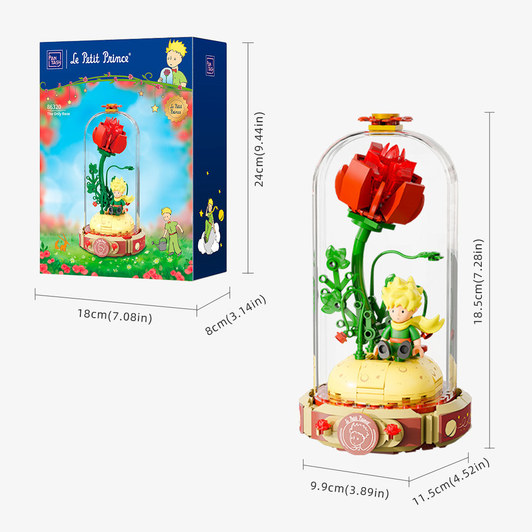 Le Petit Prince The Only Rose