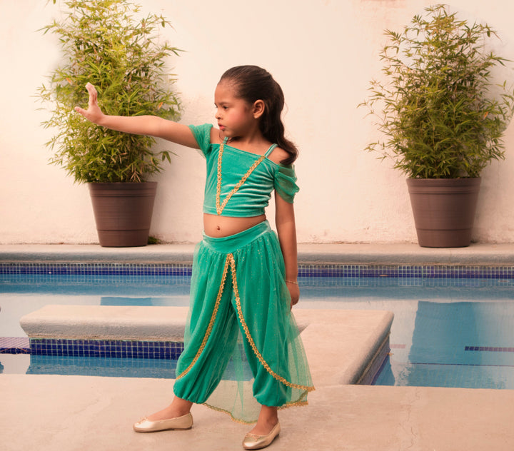 The Arabian Princess Costume