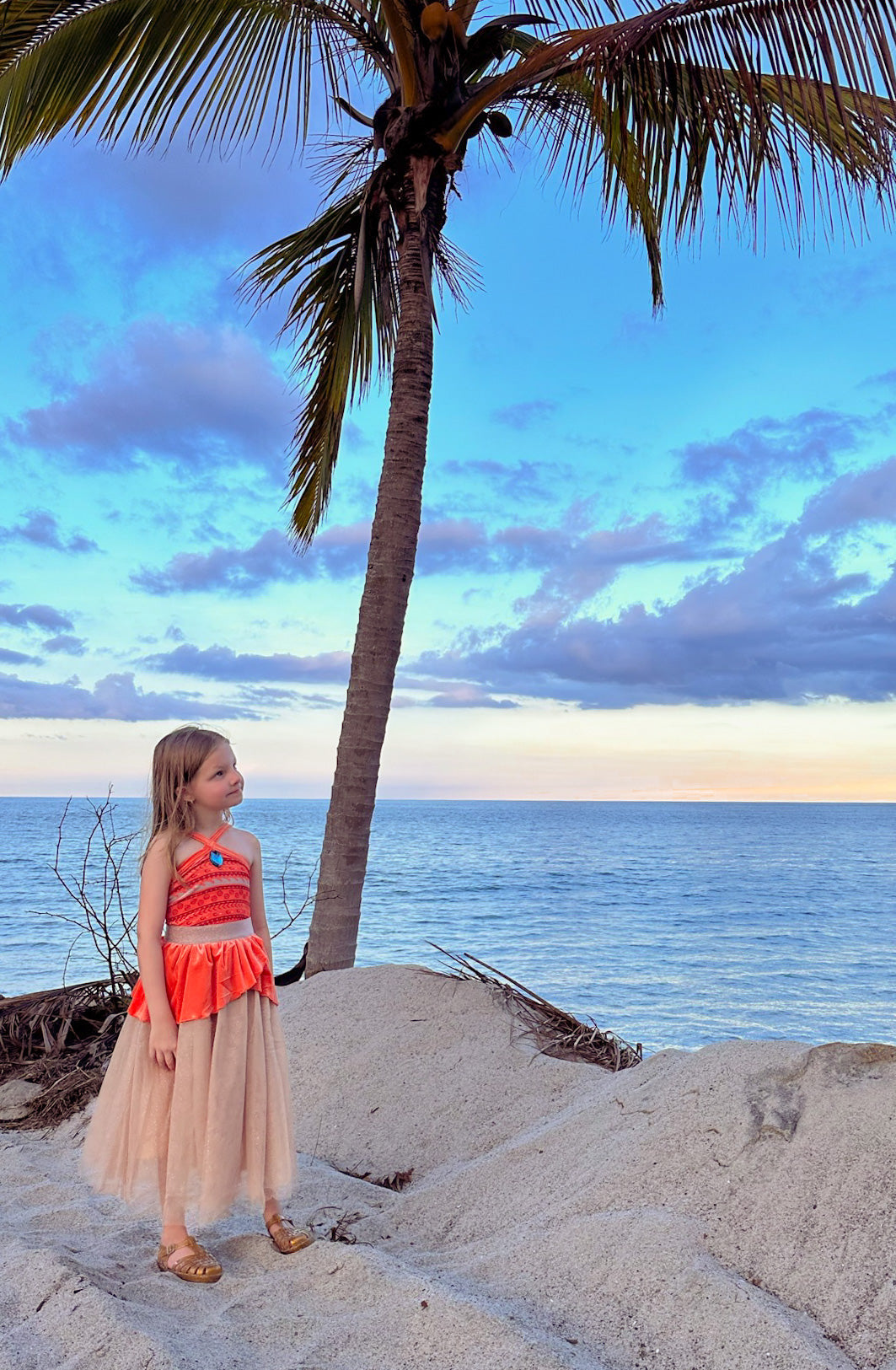 The Island Princess costume dress