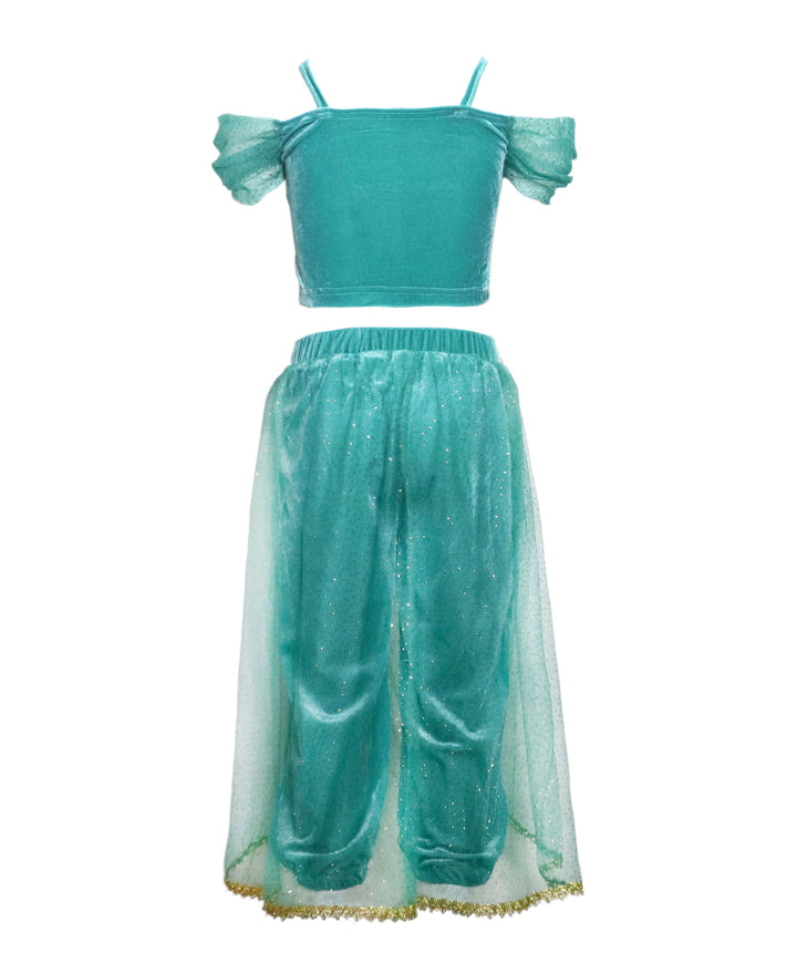 The Arabian Princess Costume