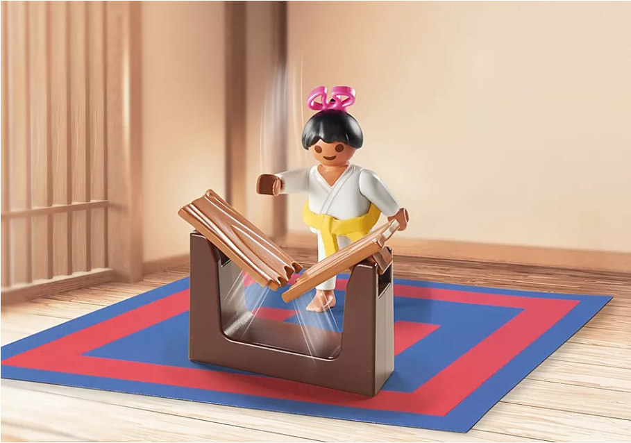 71186 Karate Class Gift Set
