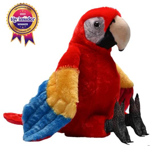 Artist Collection - Scarlet Macaw