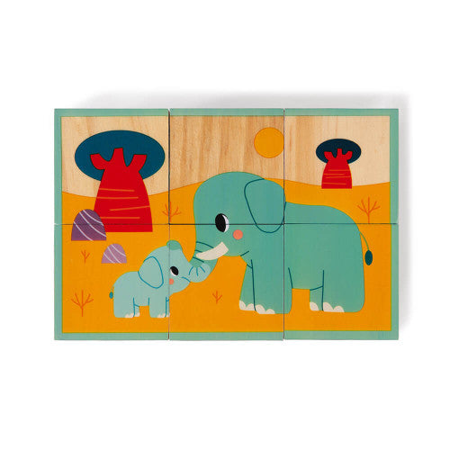Animals wooden blocks