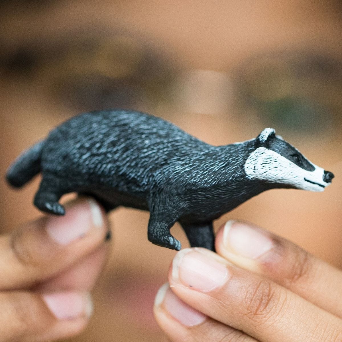 Badger 14842