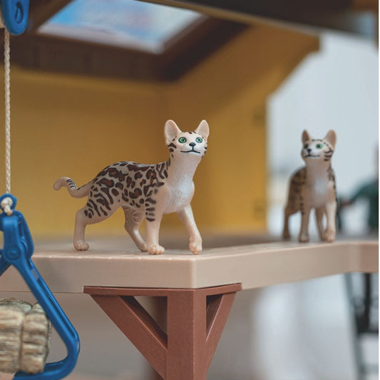 Bengal Cat 13918