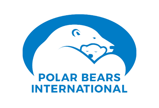 The Venture Bracelet Polar Bear - Papillae Stone