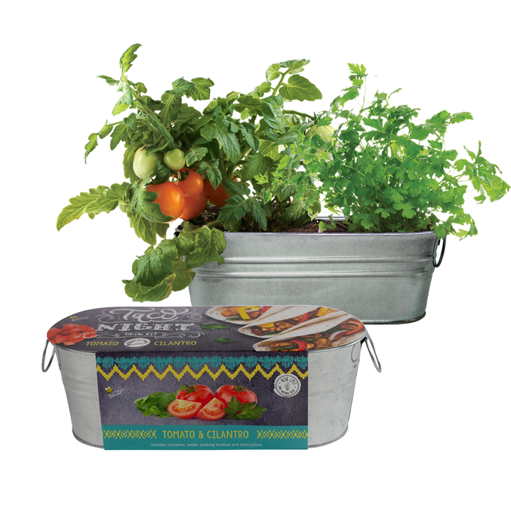 Taco Night Windowsill Grow Kit