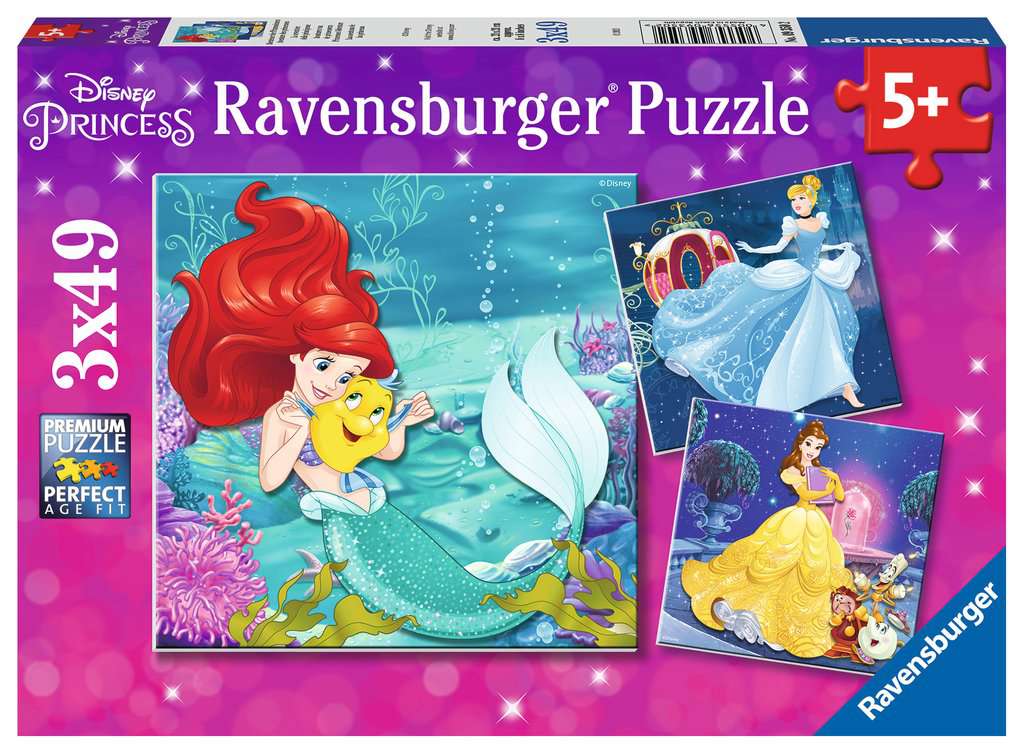 Disney Princess Adventure