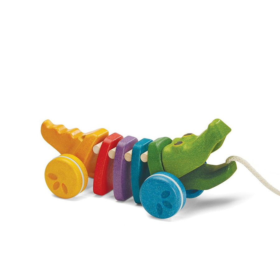 1416 Rainbow Alligator
