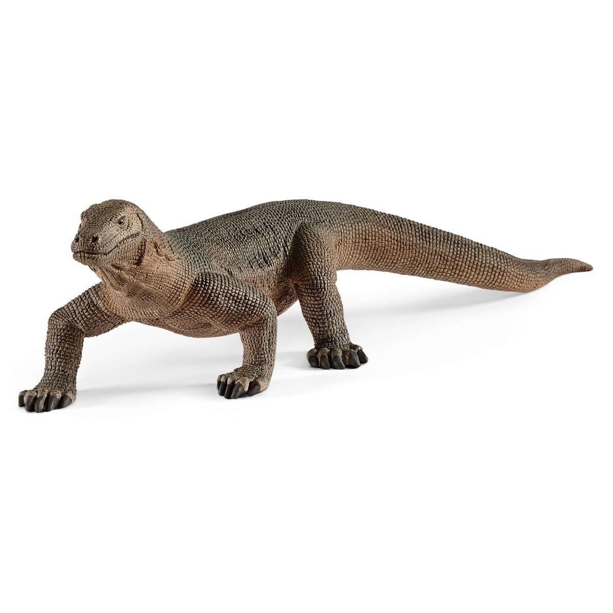Komodo dragon 14826