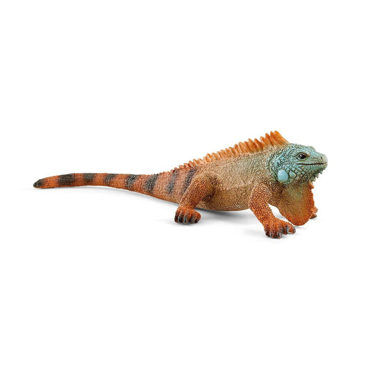 14854 Iguana