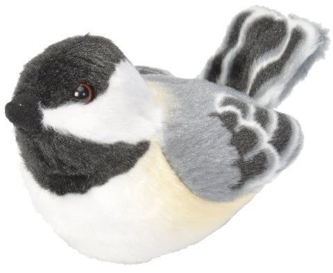 AUD II BLACK CAPPED CHICKADEE - 5"