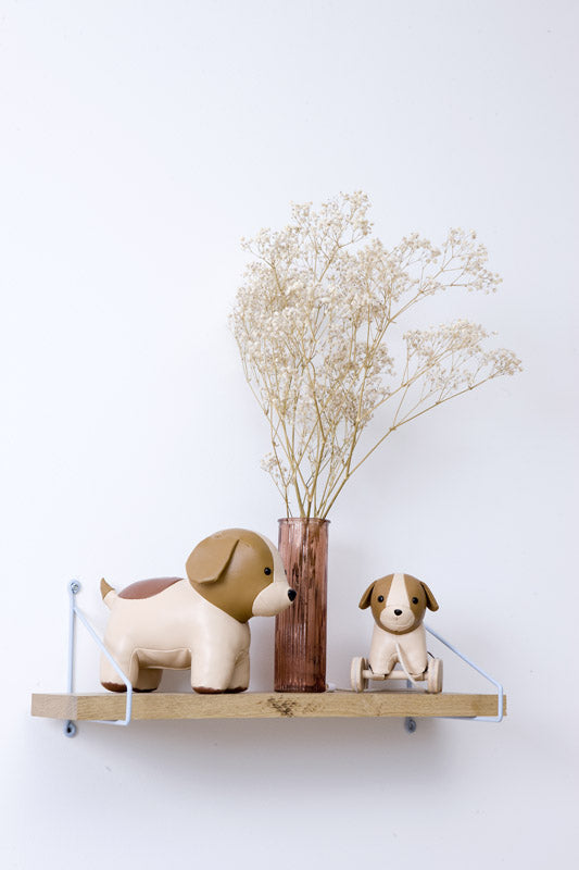 ADRIEN THE DOG