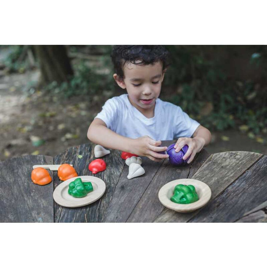 3431 5 Colors Veggie Set
