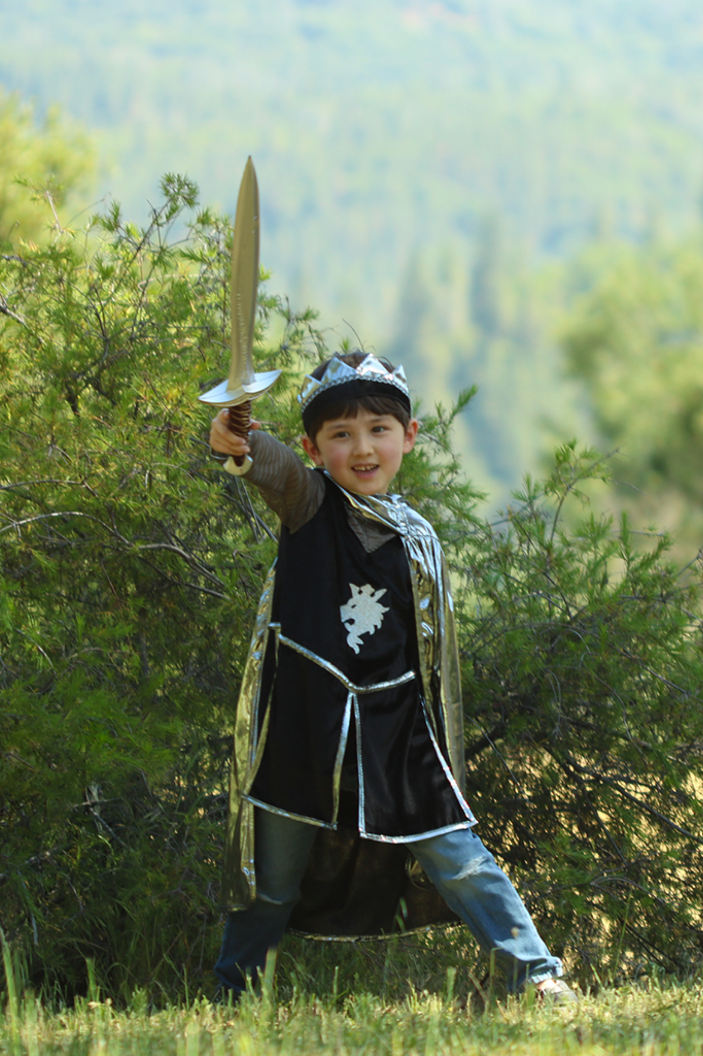 SILVER KNIGHT SET WITH TUNIC, CAPE AND CROWN