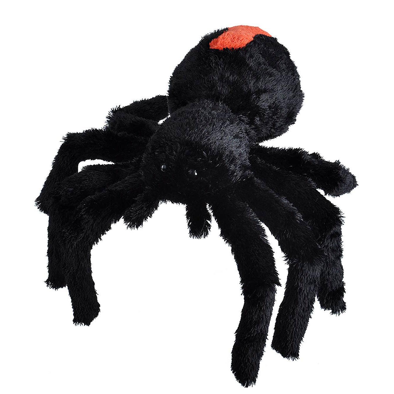 REDBACK SPIDER