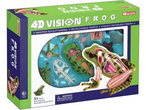 4D Vision Animal Frog
