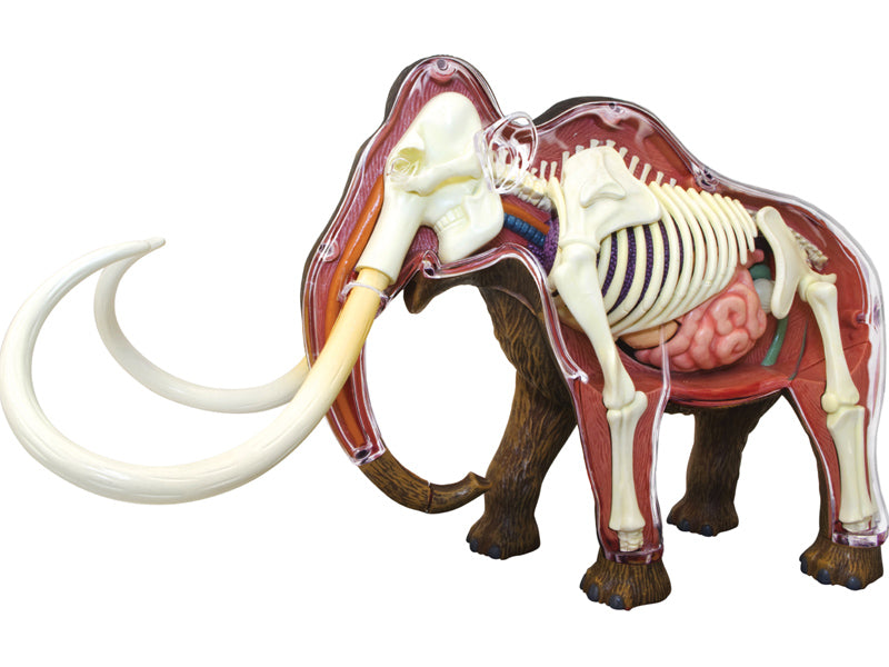 4D Vision Animal Woolly Mammoth