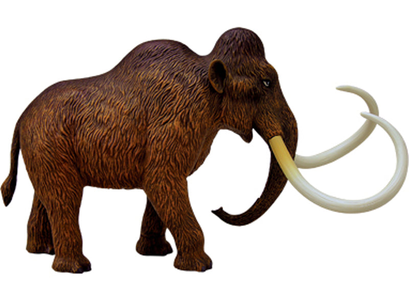 4D Vision Animal Woolly Mammoth