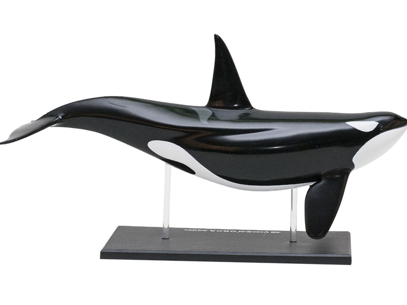 4D Vision Animal Orca