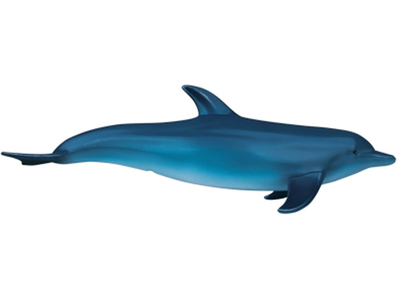 4D Vision Animal Dolphin
