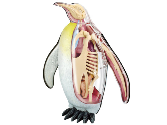 4D Vision Animal Emperor Penguin