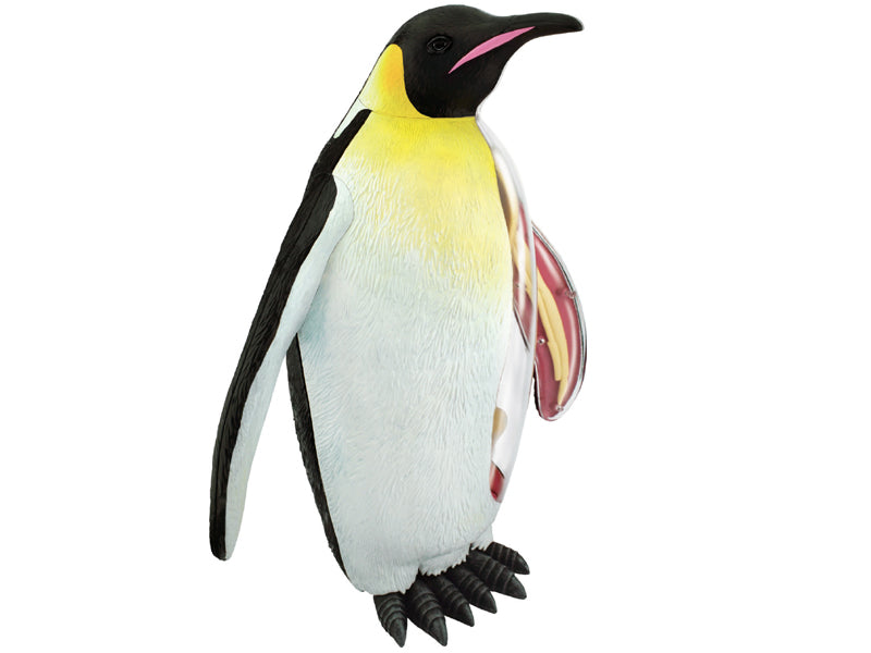 4D Vision Animal Emperor Penguin