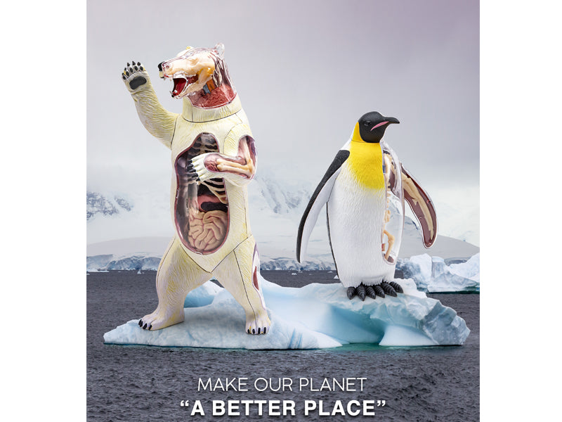 4D Vision Animal Emperor Penguin