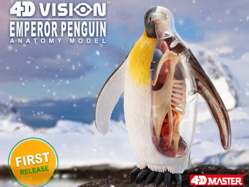 4D Vision Animal Emperor Penguin