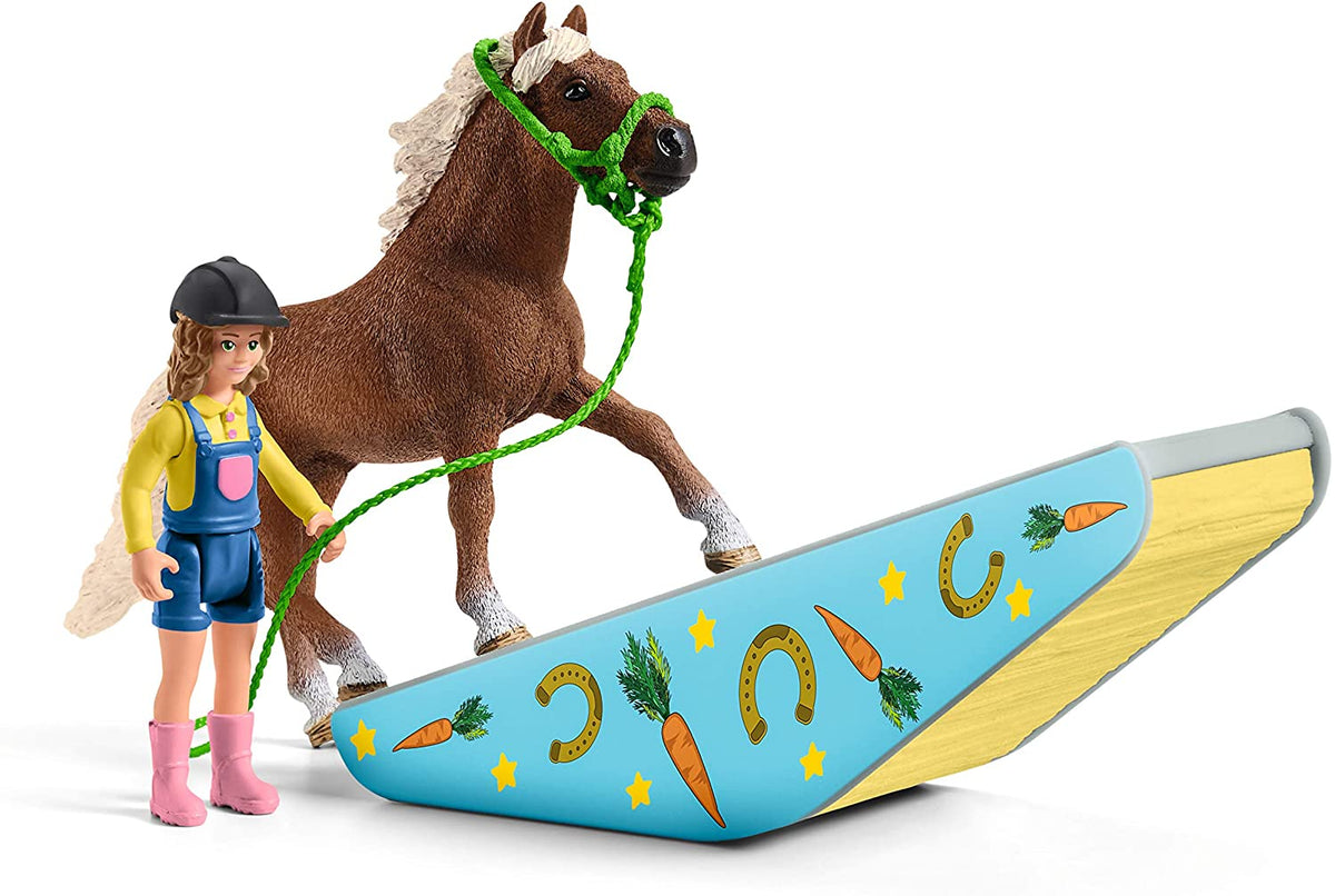 Pony agility training 42481
