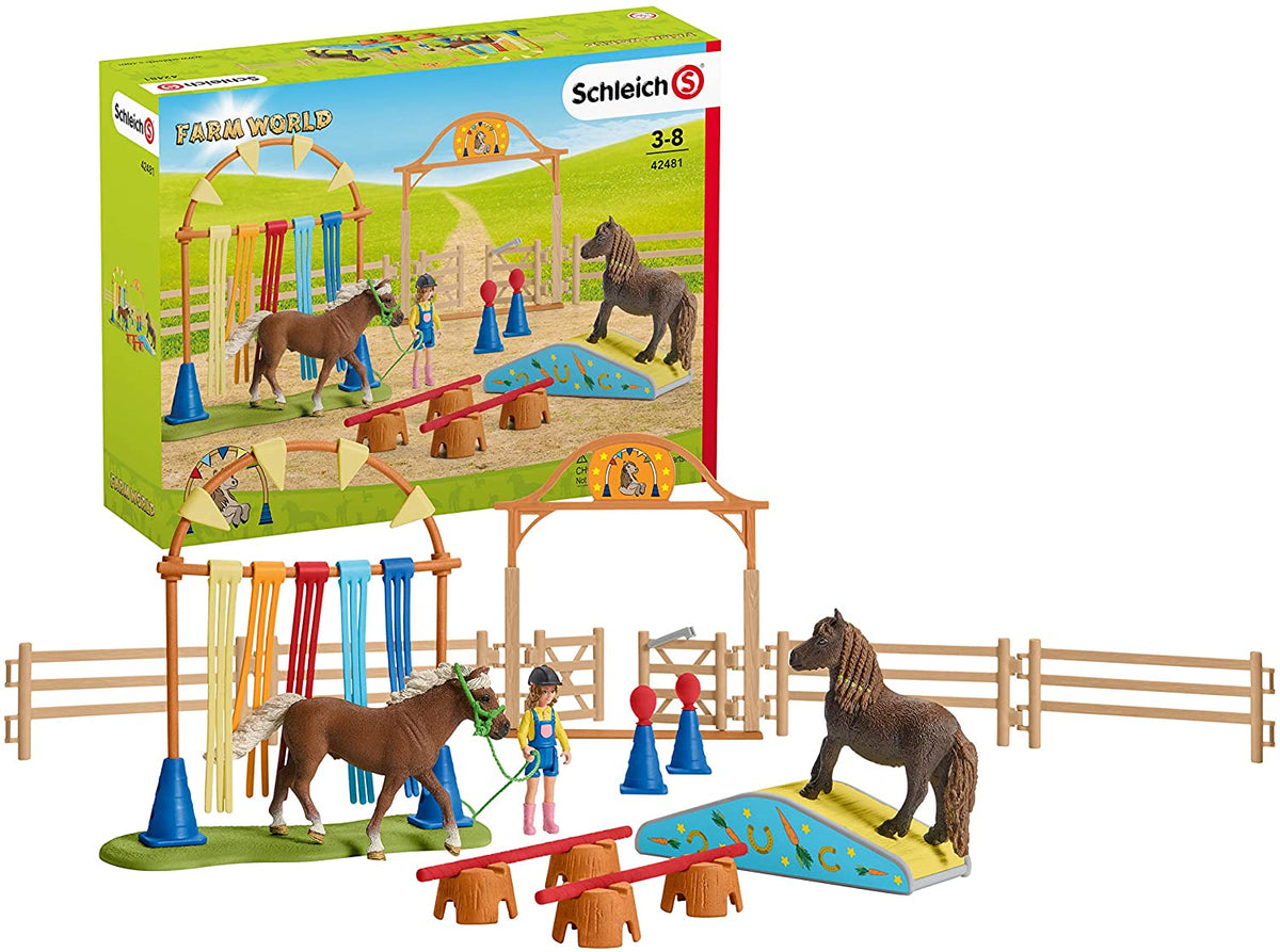 Pony agility training 42481