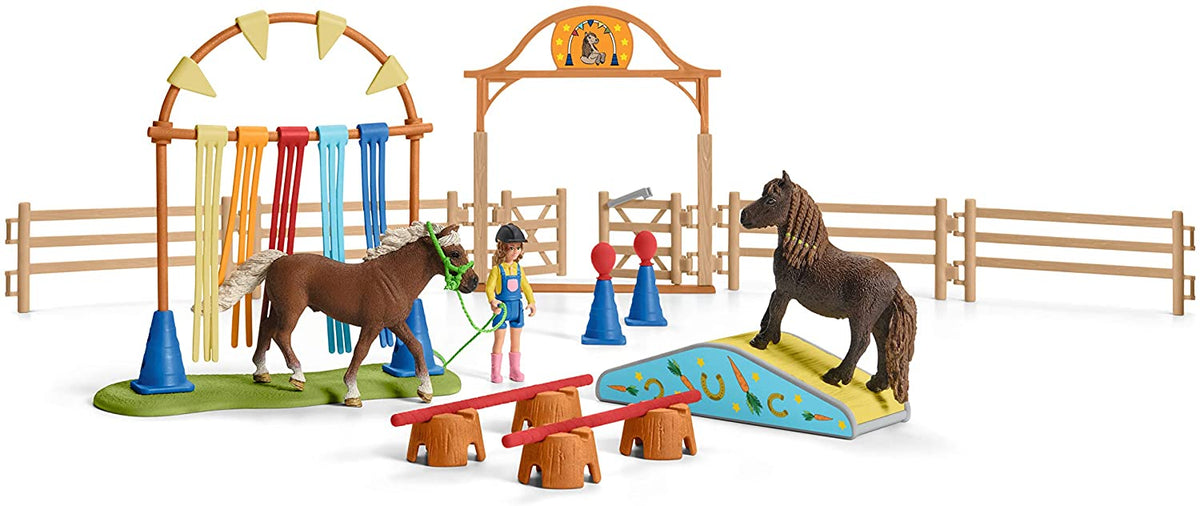 Pony agility training 42481