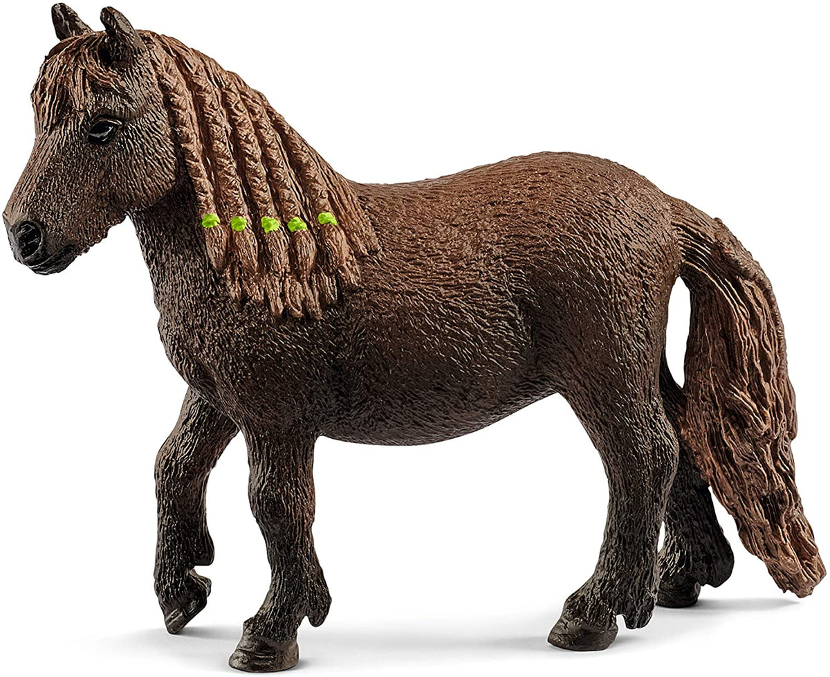 Pony agility training 42481