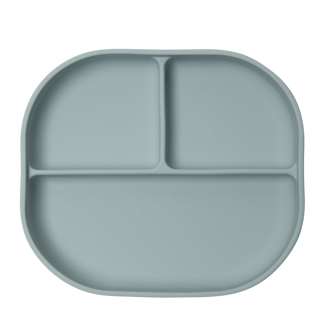 Divided Plate With Lid - Blue