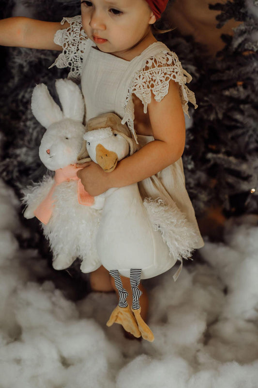 AURORA ANGORA RABBIT
